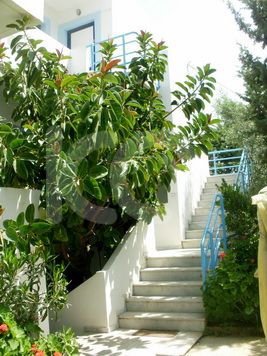 εικόνα αγγελίας