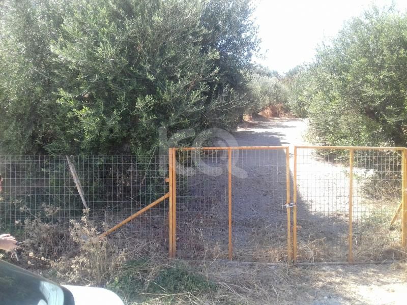 εικόνα αγγελίας