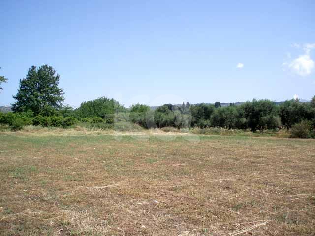 εικόνα αγγελίας