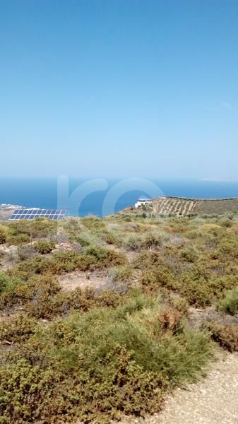 εικόνα αγγελίας