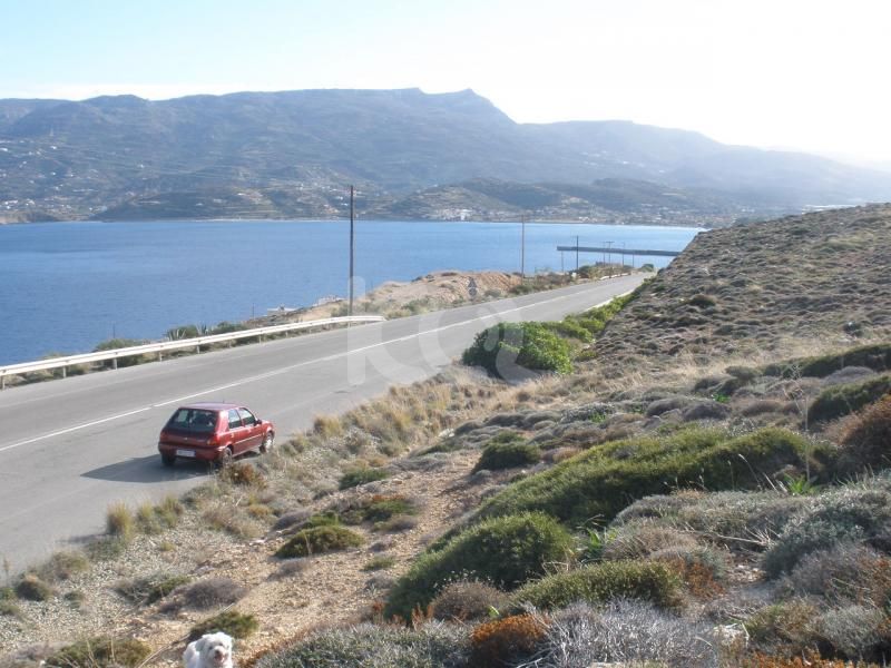 εικόνα αγγελίας