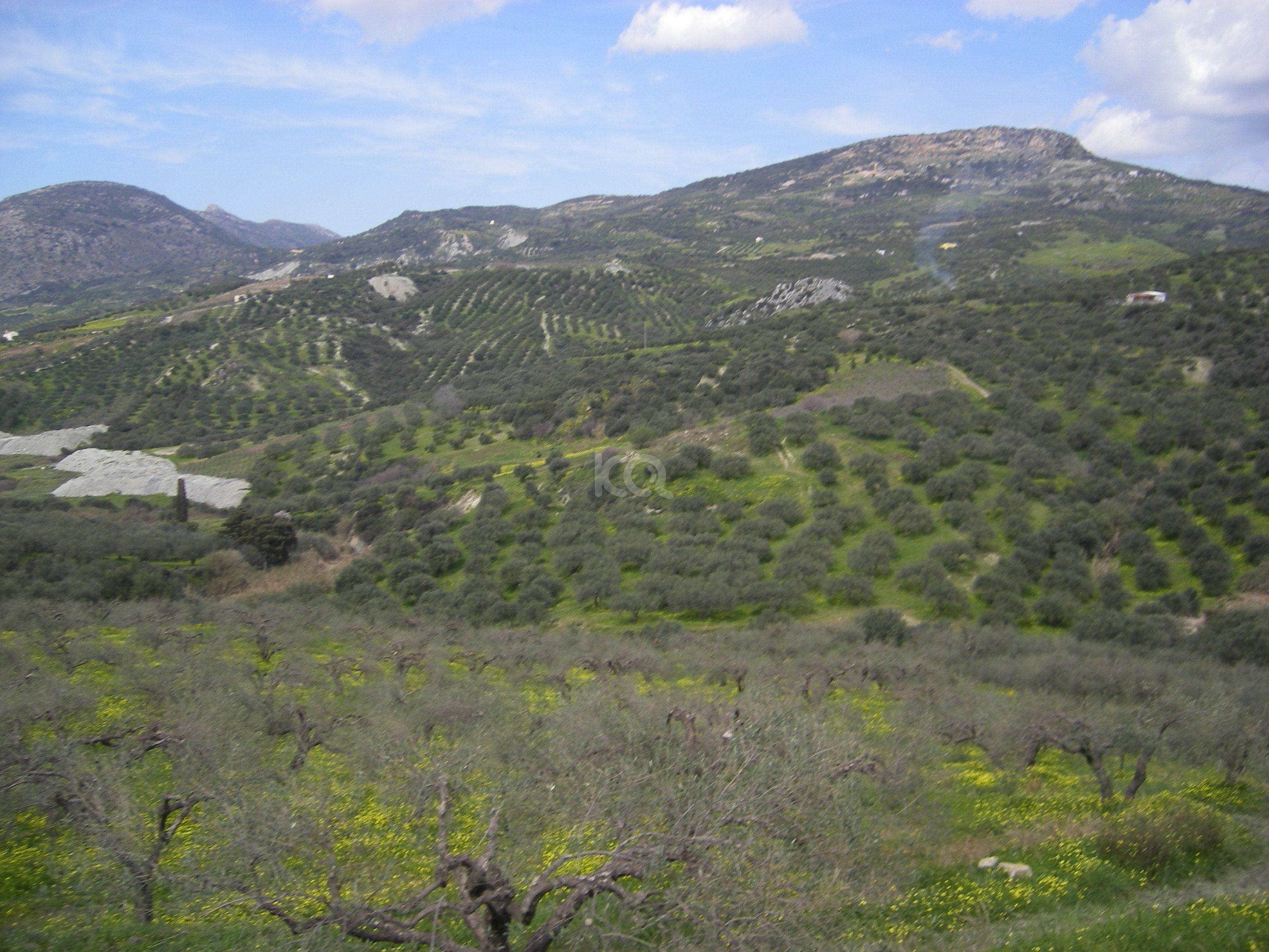 εικόνα αγγελίας