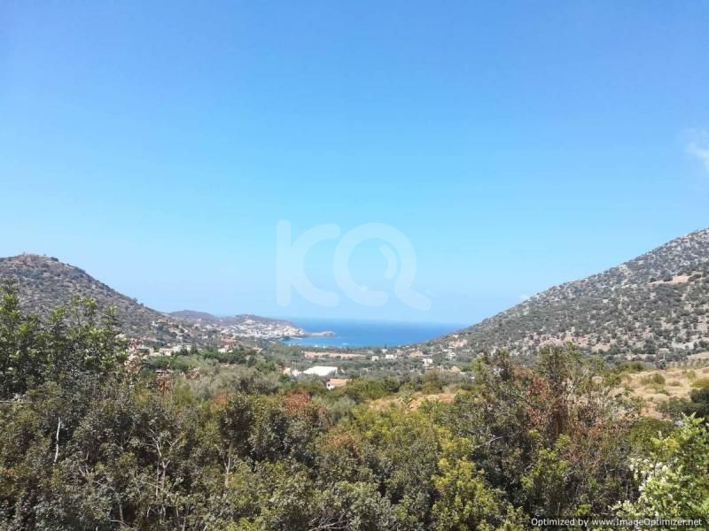 εικόνα αγγελίας