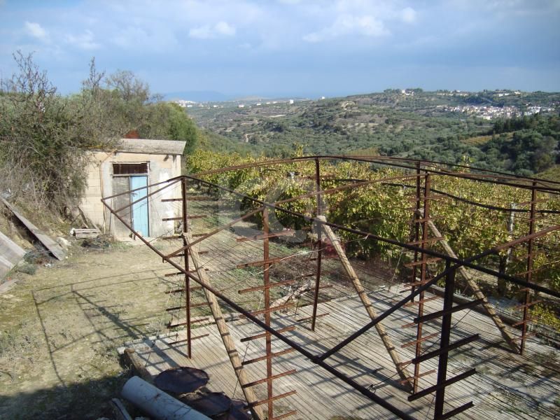 εικόνα αγγελίας