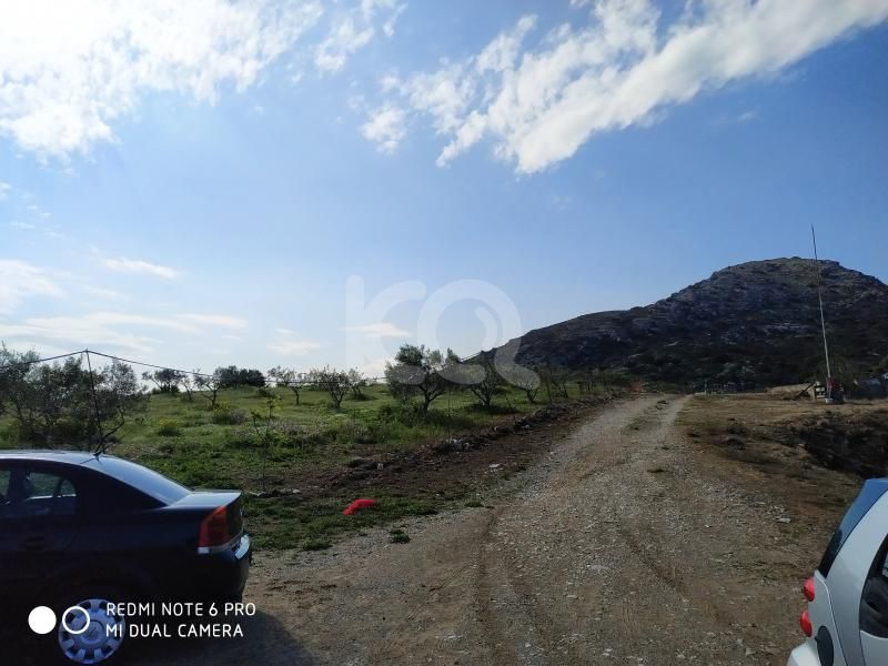 εικόνα αγγελίας