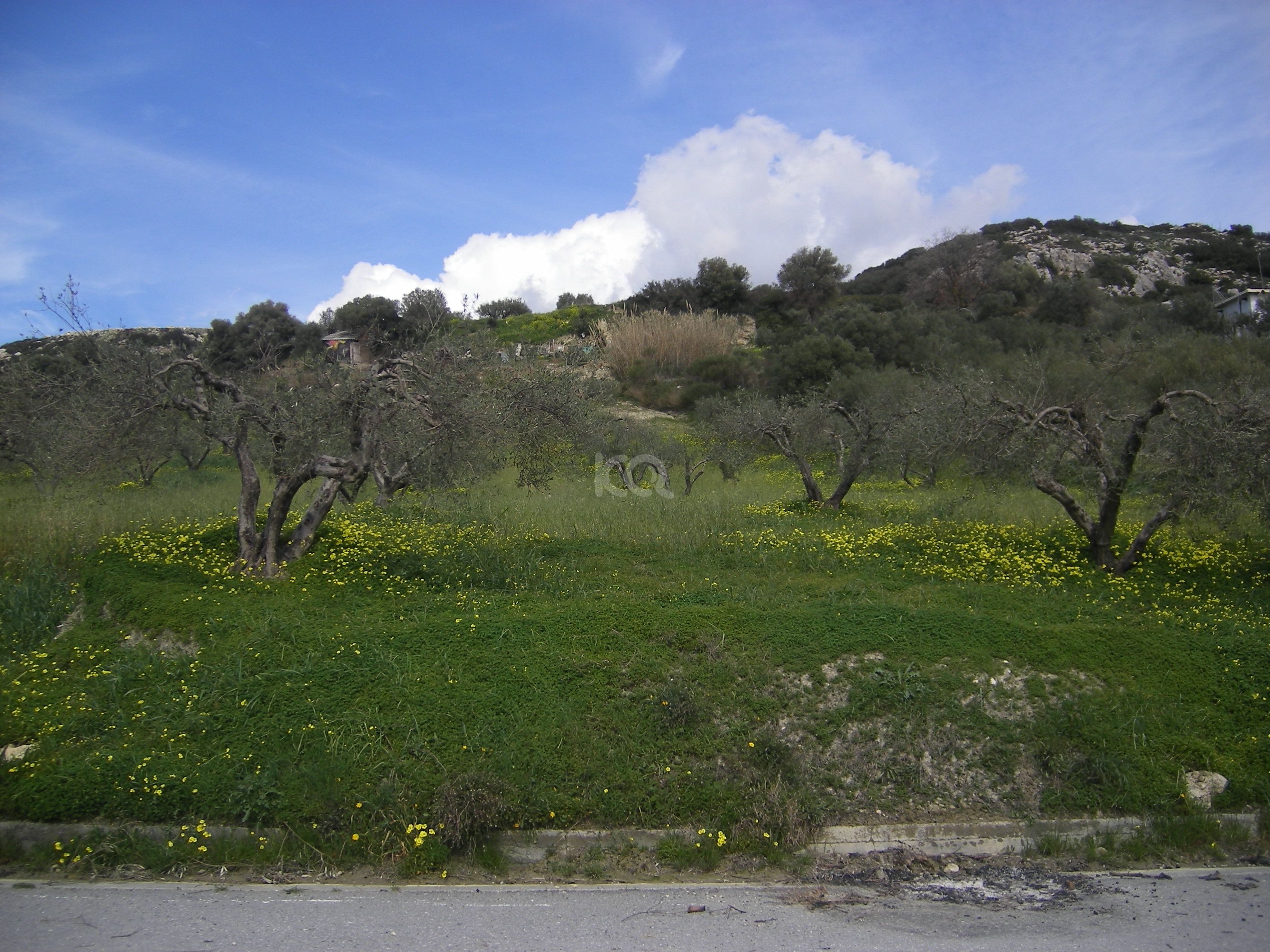 εικόνα αγγελίας