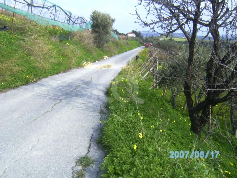 εικόνα αγγελίας