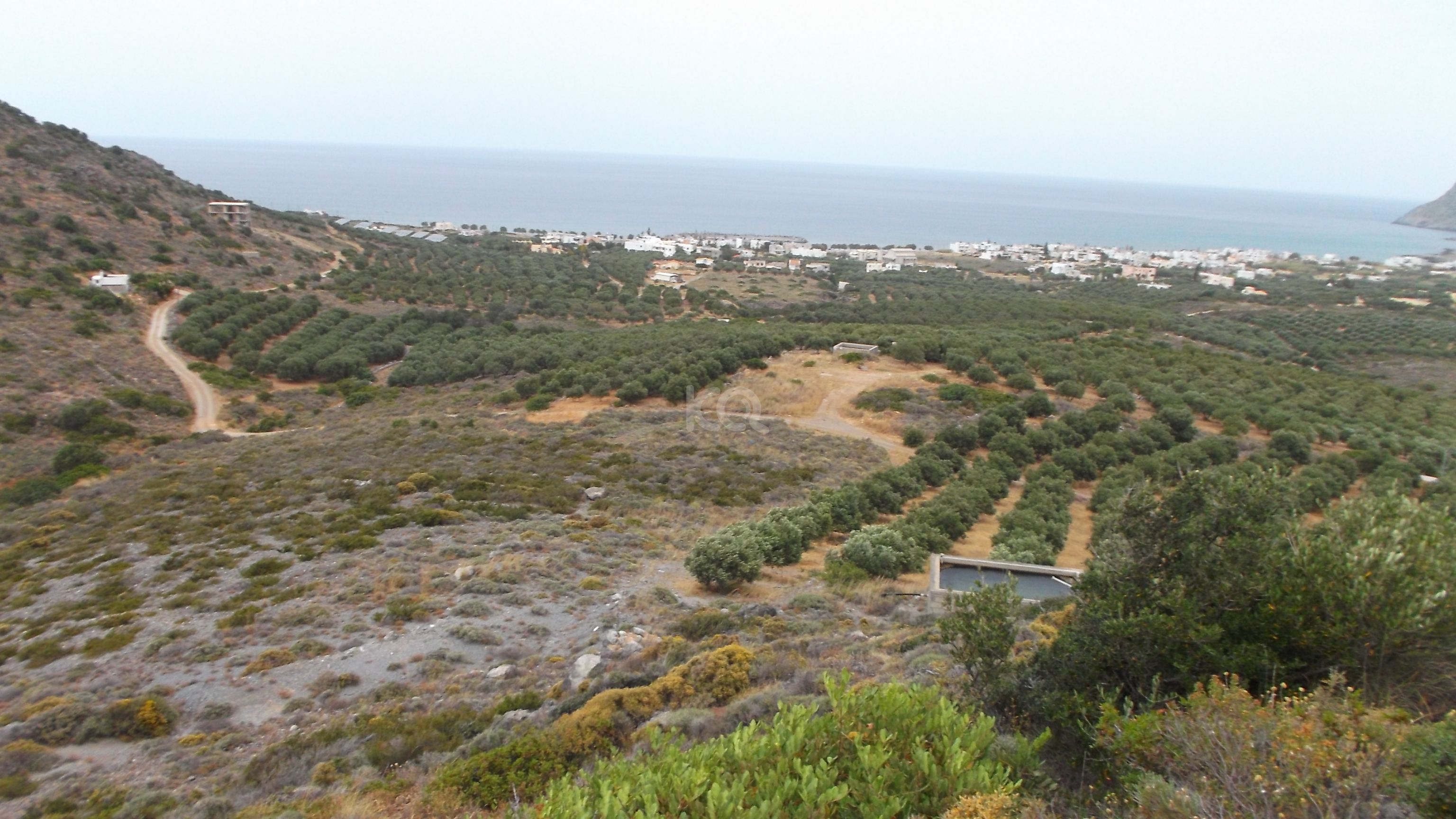 εικόνα αγγελίας