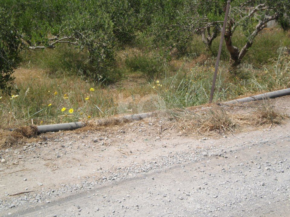 εικόνα αγγελίας