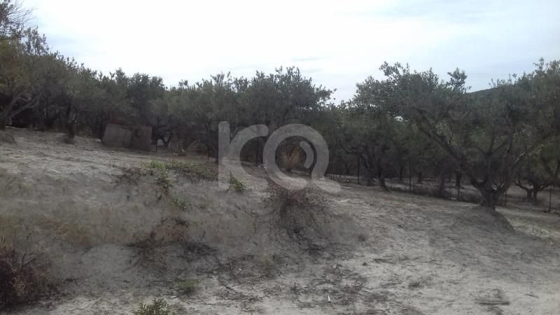 εικόνα αγγελίας