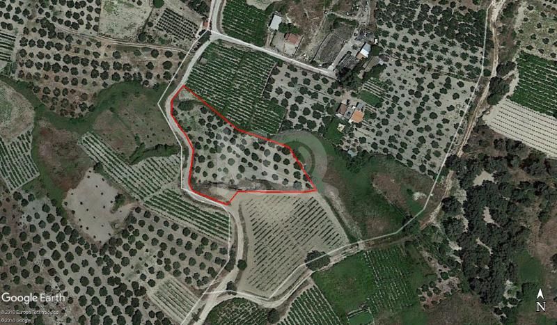 εικόνα αγγελίας