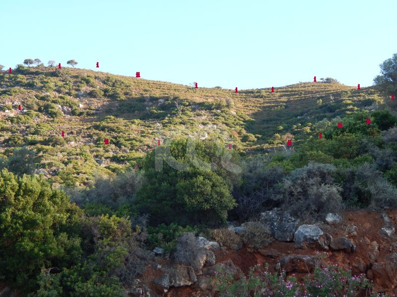 εικόνα αγγελίας