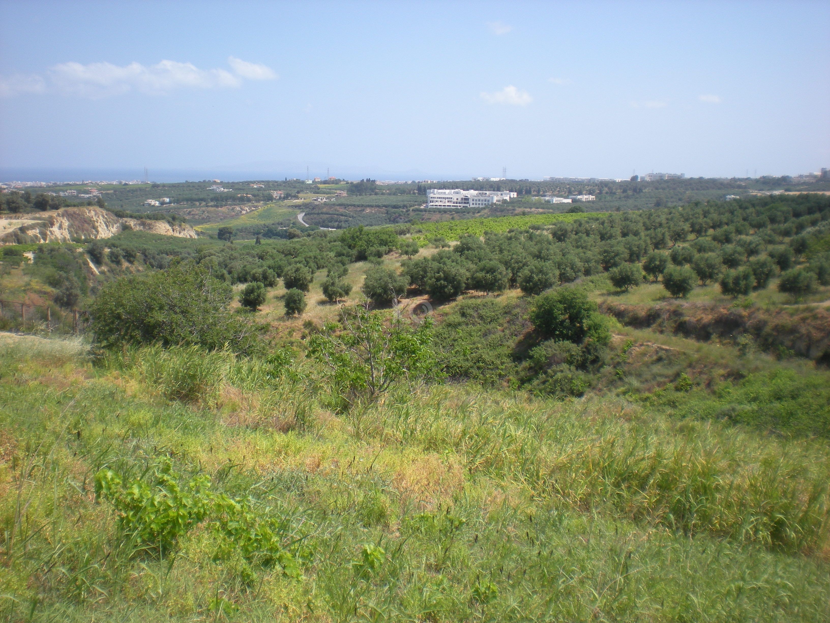 εικόνα αγγελίας