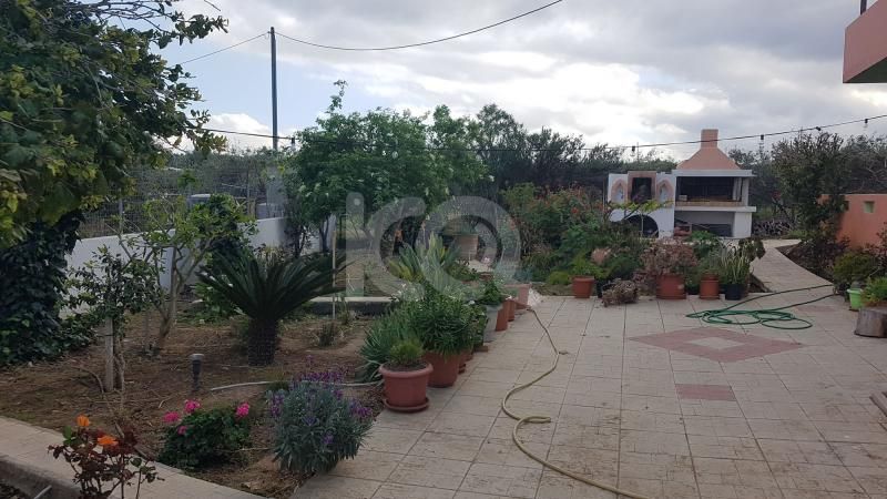 εικόνα αγγελίας