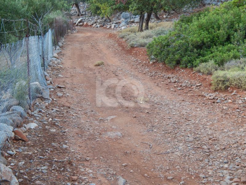 εικόνα αγγελίας