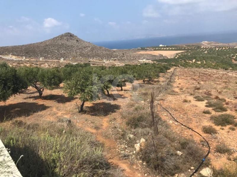 εικόνα αγγελίας