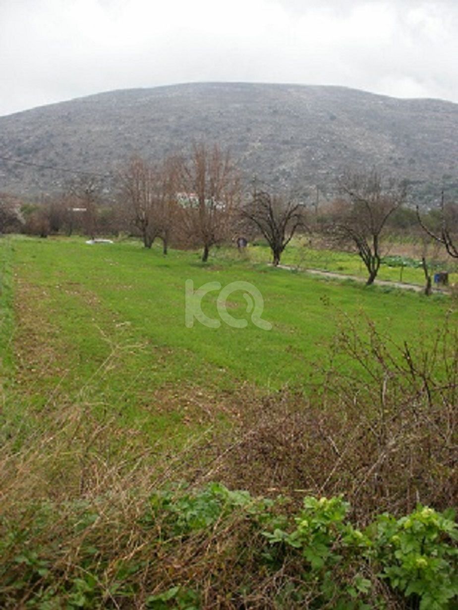 εικόνα αγγελίας