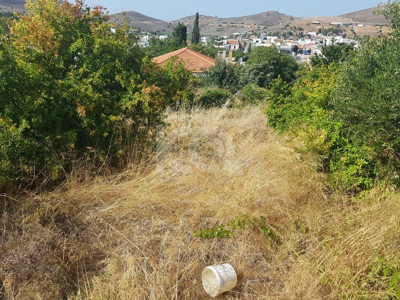 εικόνα αγγελίας