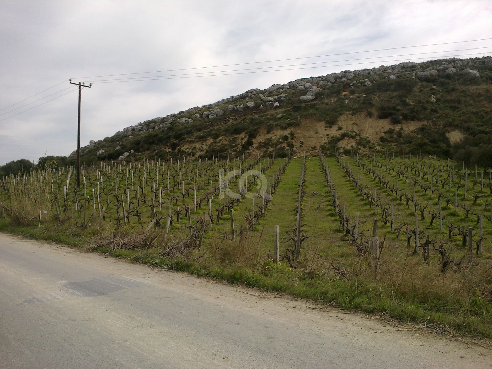 εικόνα αγγελίας