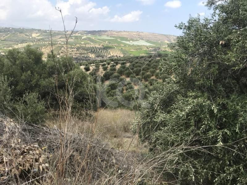 εικόνα αγγελίας