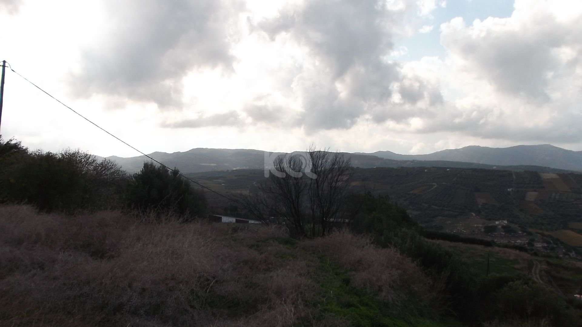 εικόνα αγγελίας