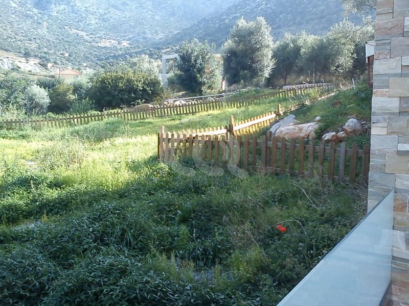 εικόνα αγγελίας