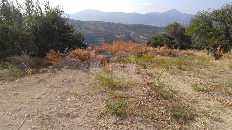 εικόνα αγγελίας