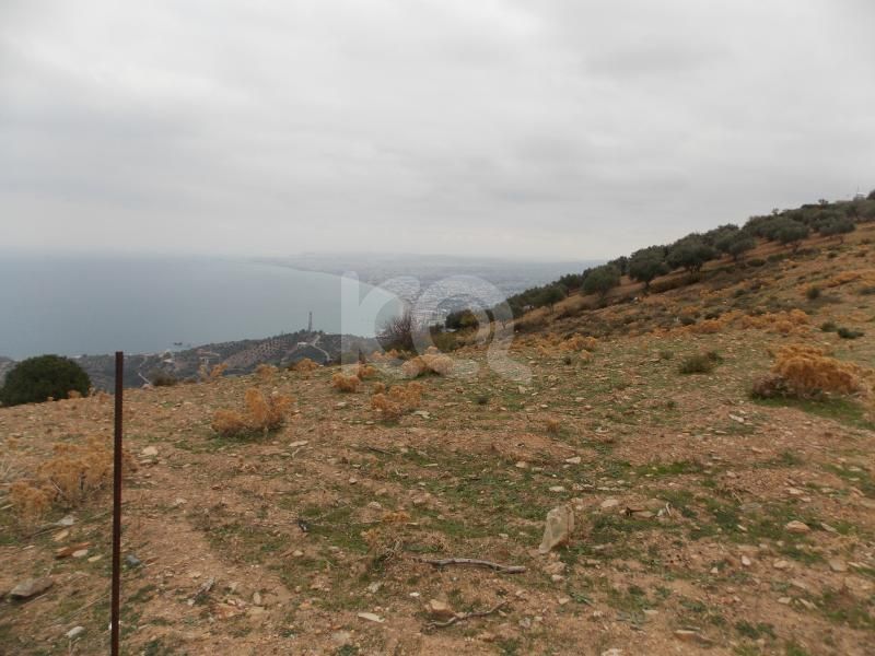 εικόνα αγγελίας