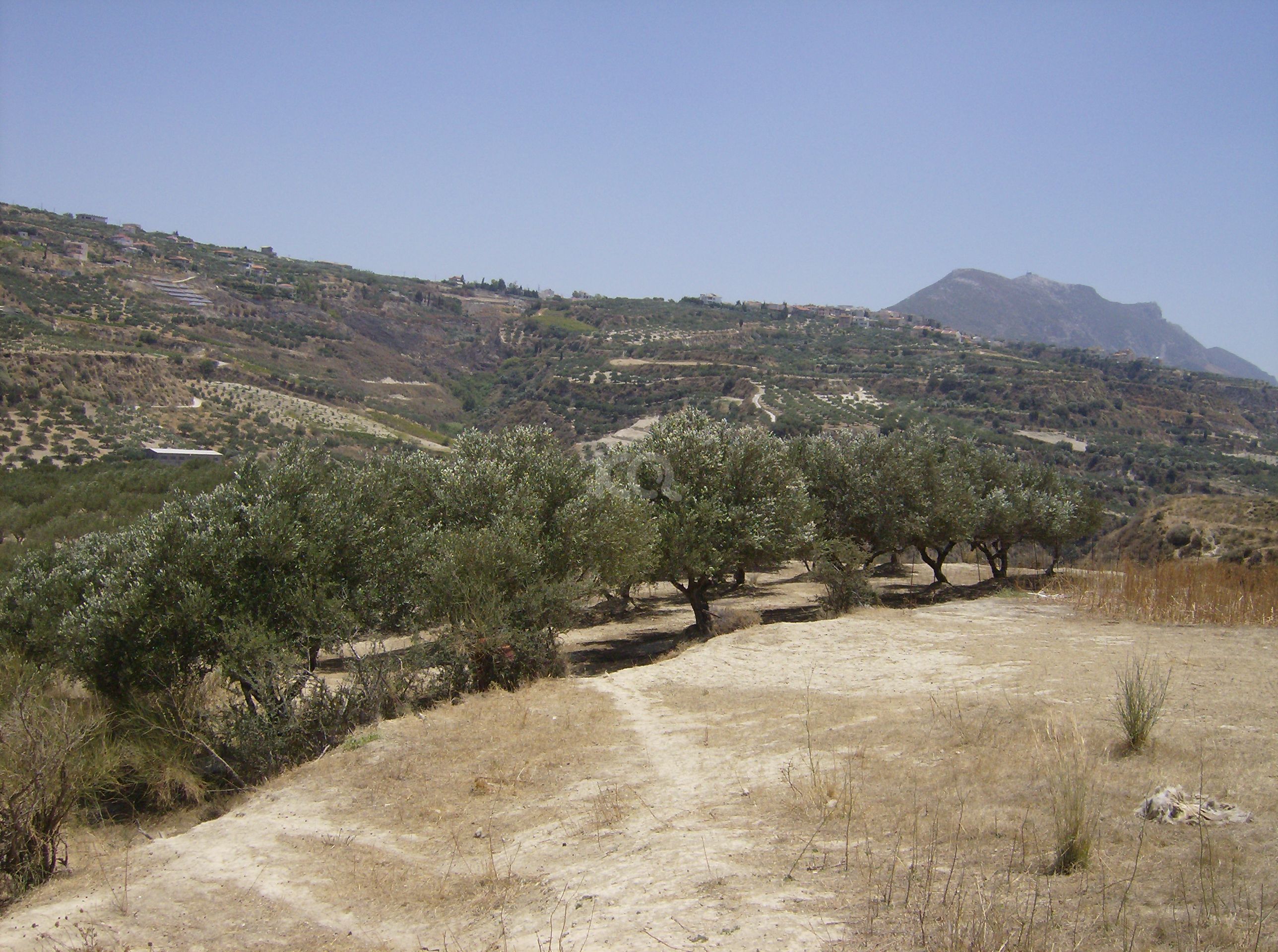 εικόνα αγγελίας