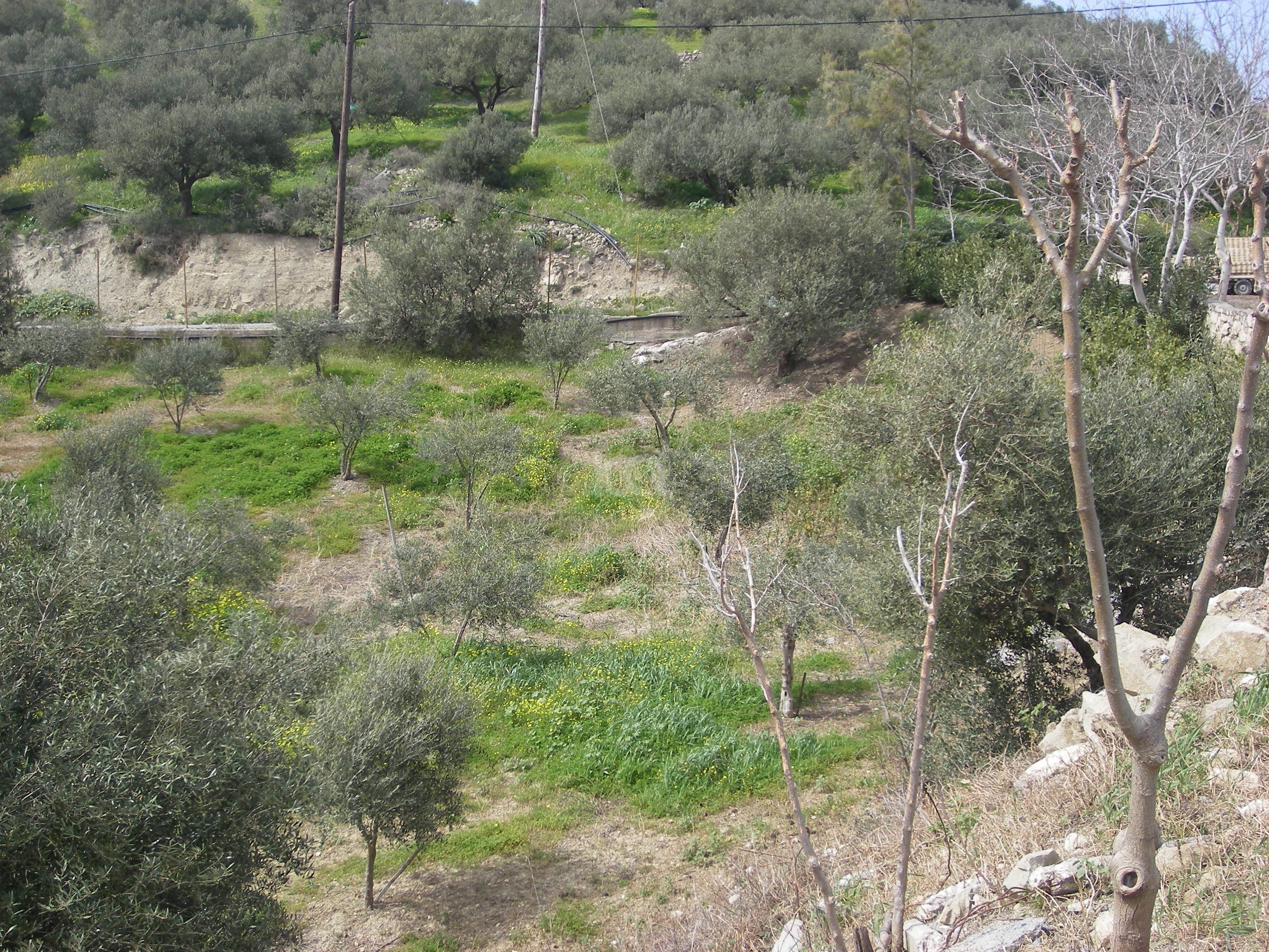 εικόνα αγγελίας