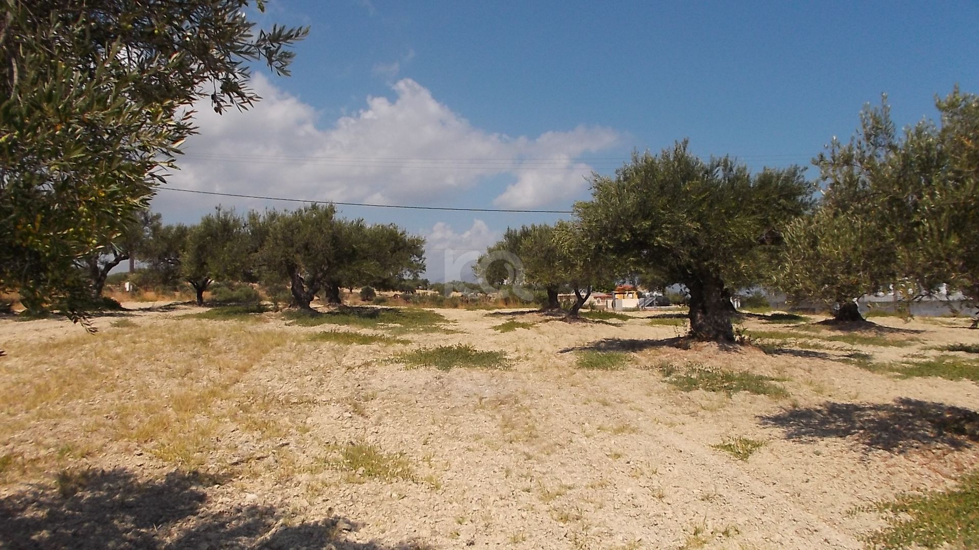 εικόνα αγγελίας