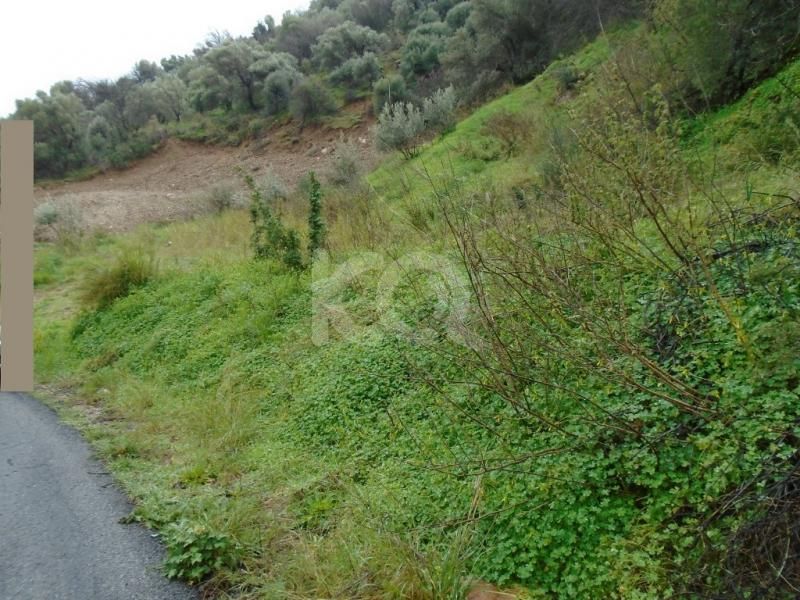 εικόνα αγγελίας