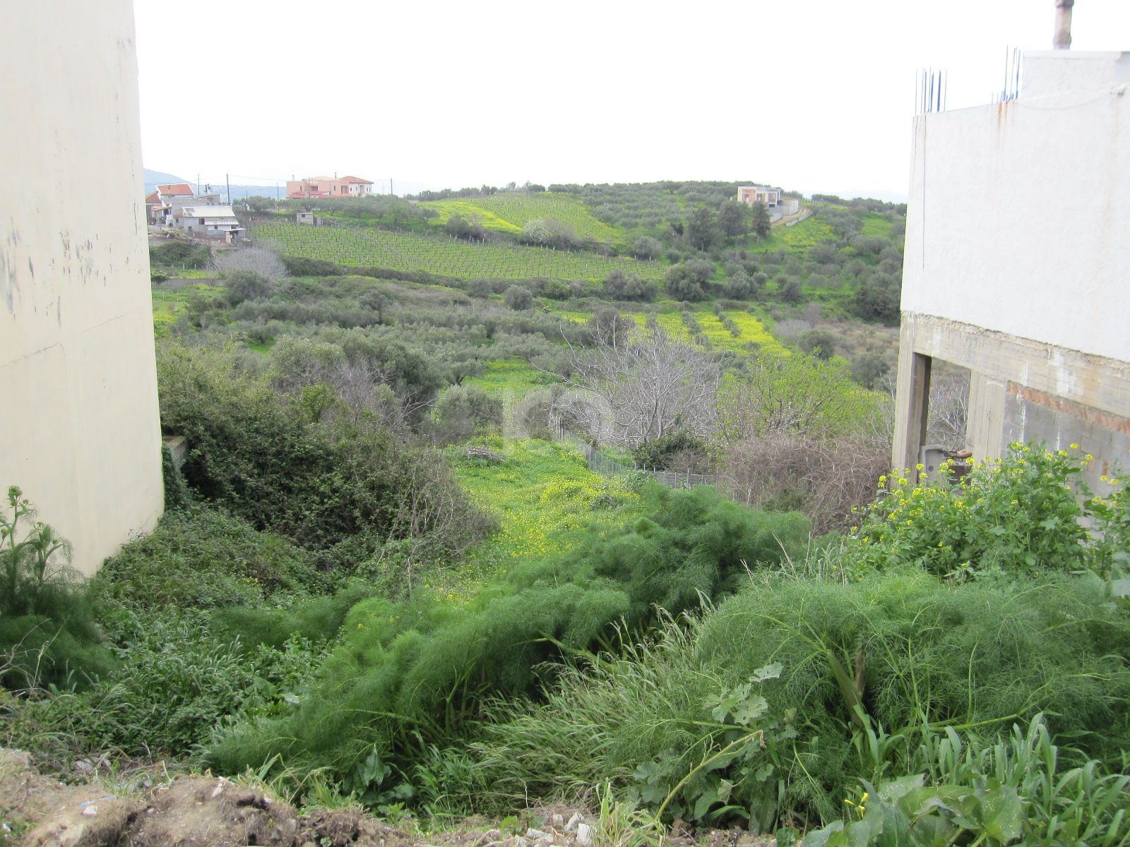 εικόνα αγγελίας