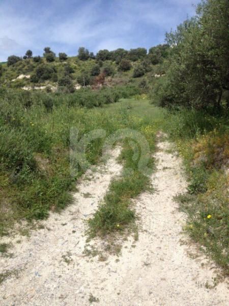 εικόνα αγγελίας